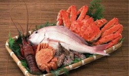 海鲜工厂爆料视频大全